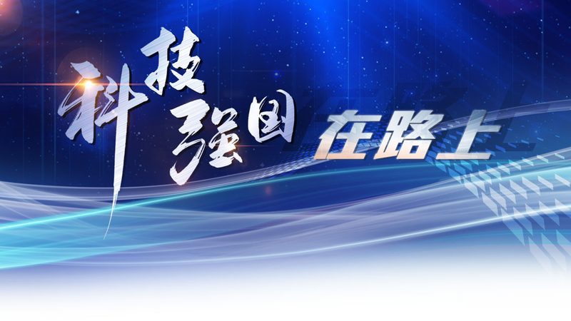 企业如何评估SaaS系统报价的合理性